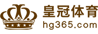 Logo 澳客(aoke)体育